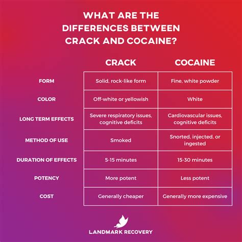 The Glamorized Image vs. the Harsh Reality of Cocaine Manufacturing