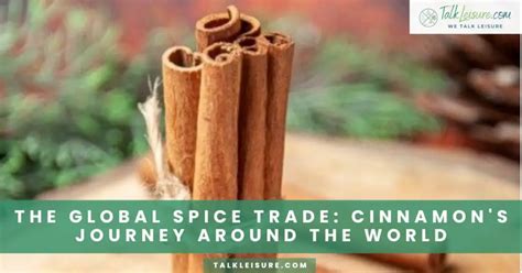 The Global Journey: Exploring the Origins and Production of Cinnamon