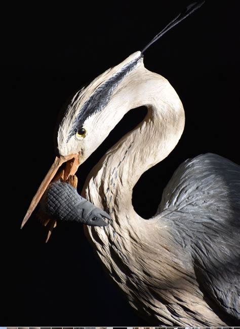 The Graceful and Exquisite Nature of the Ivory Heron