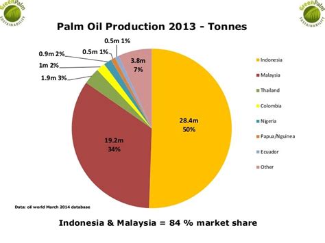 The Growing Demand for Palm Oil: