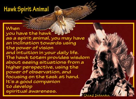 The Hawk's Connection to Intuition and Higher Wisdom