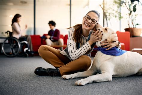 The Healing Benefits of Animal-Assisted Therapy