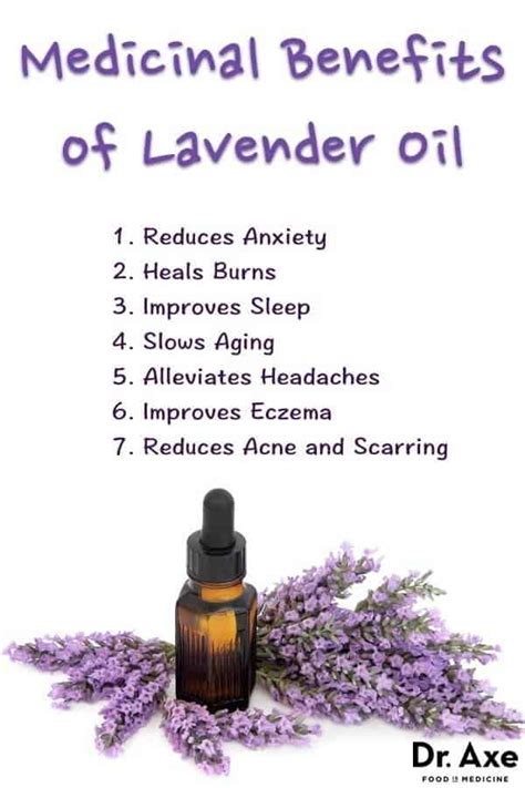 The Healing Power of Lavender: Remedies and Benefits