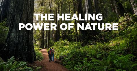 The Healing Power of Nature: Embracing the Wilderness for Inner Equilibrium