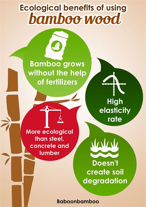 The Healing Power of Timber: Therapeutic and Ecological Advantages