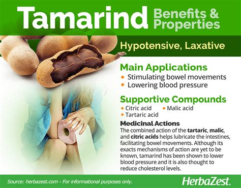 The Healing Properties of the Enigmatic Tamarind Tree: Traditional Medicinal Uses