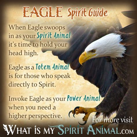 The Healing and Protective Powers of Eagles in various Cultures