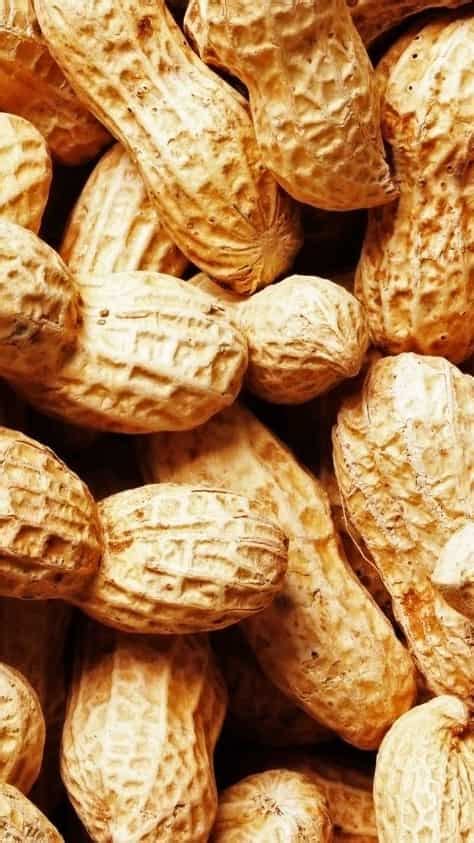 The Health Benefits of Consuming Groundnut