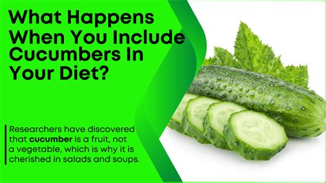 The Health Benefits of Cucumbers: A Nutritious Addition to Your Diet