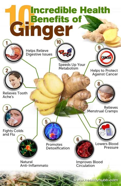 The Health Benefits of Fresh Ginger