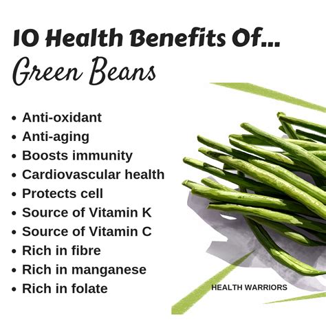 The Health Benefits of Green Beans: From Vitamins to Minerals