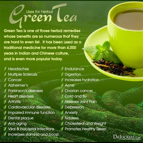 The Health Benefits of Green Tea