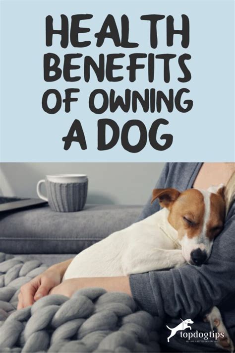 The Health Benefits of Having a Canine Companion: Enhancing Physical and Mental Well-being