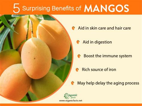 The Health Benefits of Mango: Nourishing Your Body and Mind