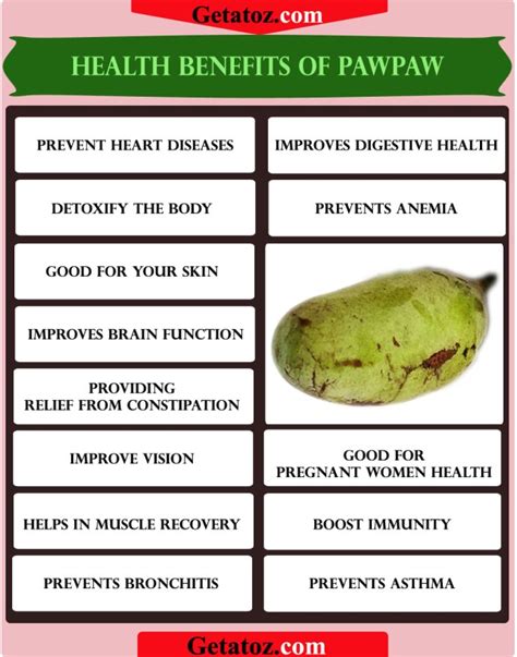 The Health Benefits of Pawpaws: A Delectable Fruit Packed with Vitamins and Antioxidants