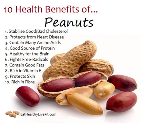 The Health Benefits of Peanuts: Why You Should Include Them in Your Diet