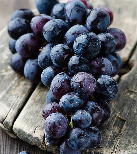 The Health Benefits of luscious Dark Grapes: A Nourishing Experience