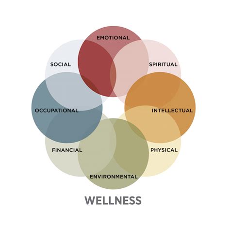 The Health and Wellness Maven: An Overview of Their Life Story