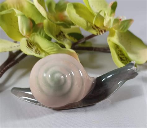 The Hidden Gems: Snails as Tiny Collectible Treasures