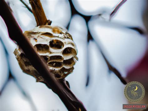 The Hidden Meanings in Dreams Featuring Wasp Nests