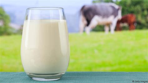 The Hidden Significance of Pure Milk in One's Dreams