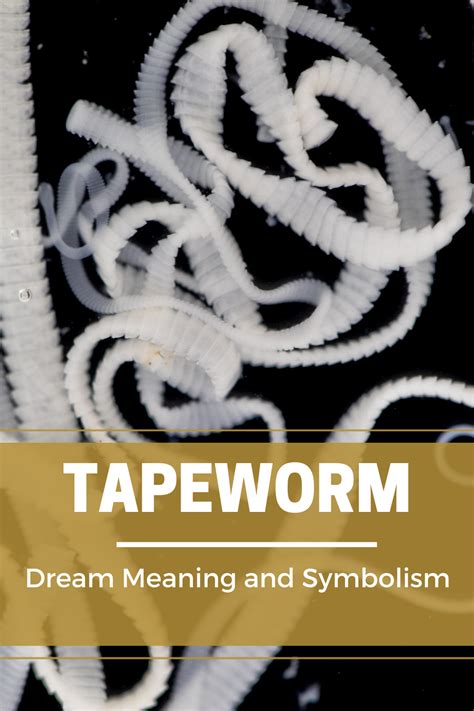 The Historical Context: Tapeworms as Symbols of Beauty and Elegance