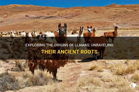 The Historical Journey of Llamas: Tracing Their Origins Across Time