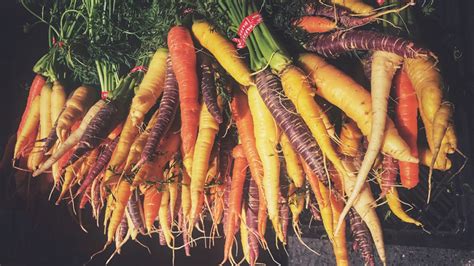 The Historical Origins of Carrots in Ancient Civilizations