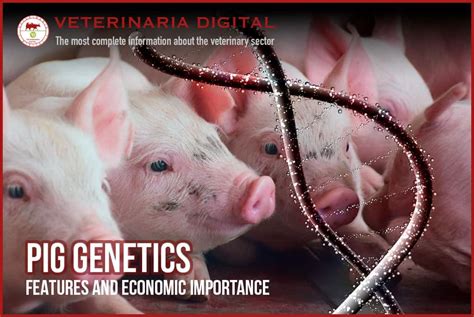 The Historical Significance of Consuming Swine Hemoglobin