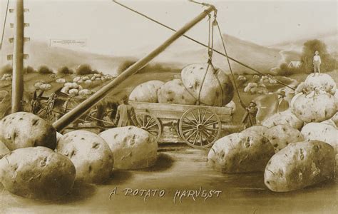 The Historical Significance of Potato Harvesting