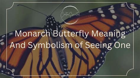 The Historical Significance of the Butterfly Symbol