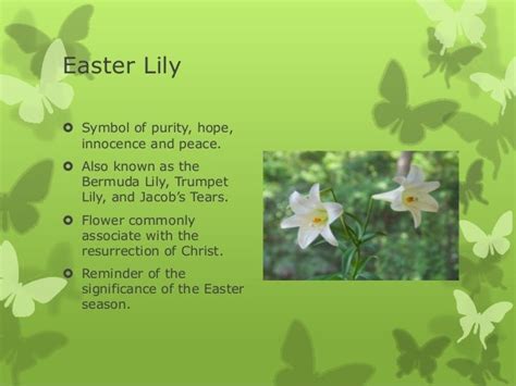 The Historical and Cultural Importance of the Easter Lily