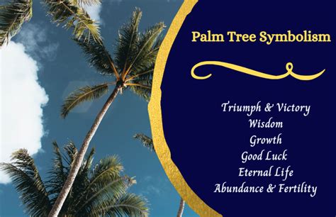 The History and Cultural Significance of Palm Trees