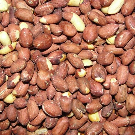 The History and Origins of Roasted Groundnuts