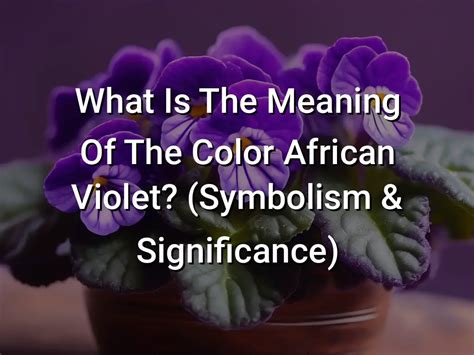 The History of Violet: Symbolism and Cultural Significance in Fashion