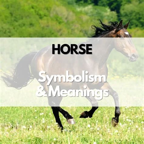 The Horse as Symbolism in Art History