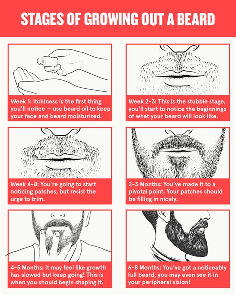 The Impact of Age on Facial Hair Growth: Unveiling the Various Phases of Beard Development