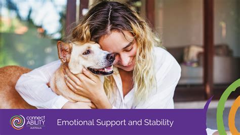 The Impact of Animal Companionship: Insights from Experts