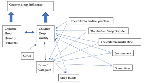 The Impact of Bovine Affectionate Interaction on Sleep Quality