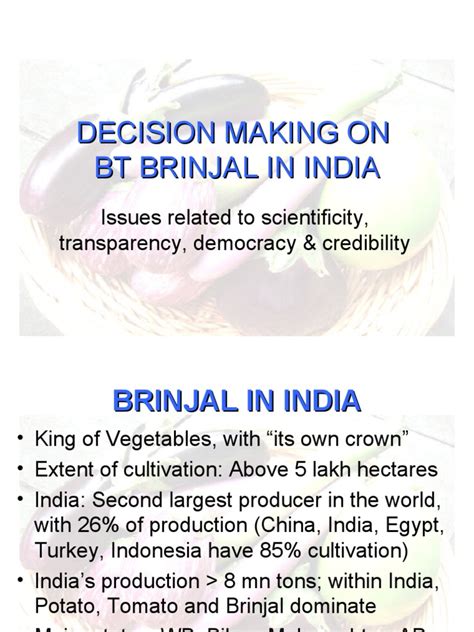 The Impact of Brinjal Reveries on Decision-Making