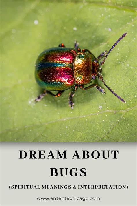 The Impact of Cultural Beliefs on Experiencing Enormous Insects in Dreams