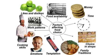 The Impact of Dietary Choices and Eating Patterns on Dreaming