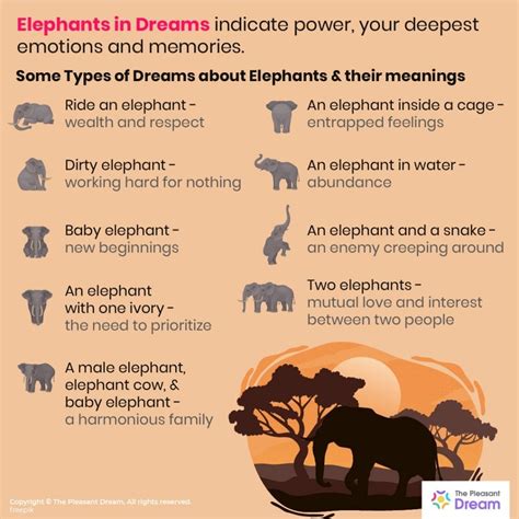 The Impact of Elephant Dreams on Expectant Mothers: Psychological Effects and Coping Strategies