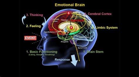 The Impact of Emotional Experiences in Dreams Involving the Precipitous Descending