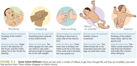 The Impact of Emotions Associated with a Vision of an Infant's Hand