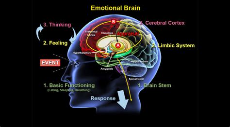 The Impact of Emotions and the Reflective Nature of Dreams with Hemorrhaging