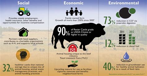 The Impact of Environment on Cow Communication: Does it Influence their Language?