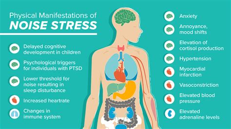 The Impact of Excessive Noise on Mental Well-being