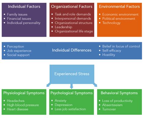 The Impact of External Factors on Dream Symbolism: Stress, Anxiety, and more