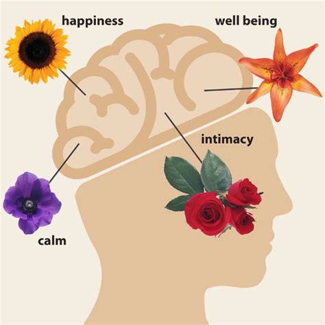 The Impact of Floral Gifts on Emotions: Exploring the Psychology Behind Receiving Blooms